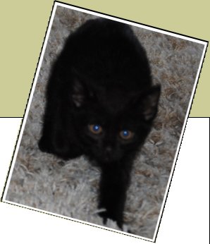 Bild : Luna